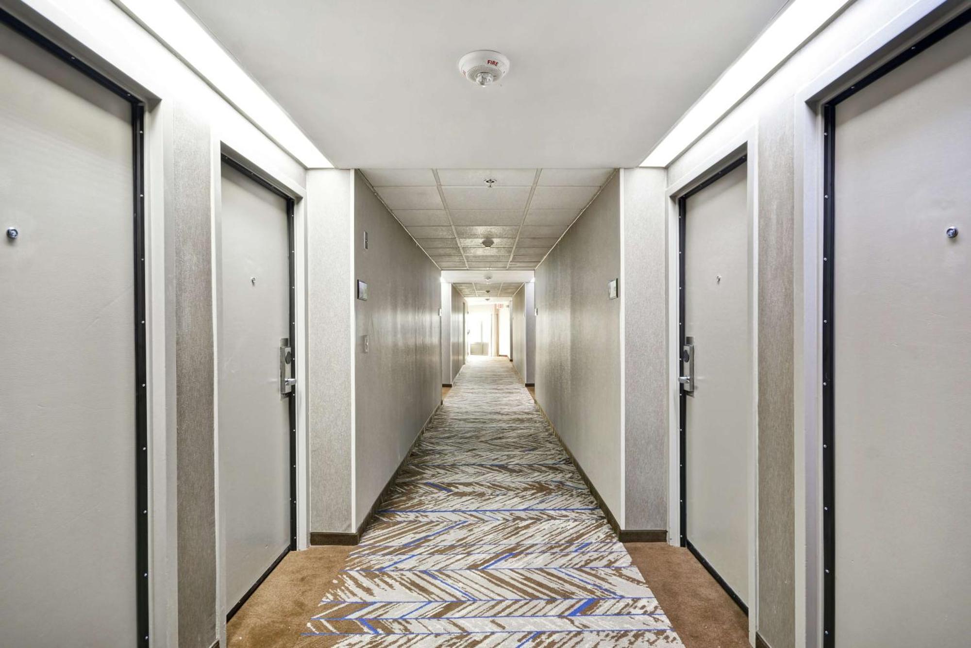 Hampton Inn Detroit Madison Heights South Troy Buitenkant foto